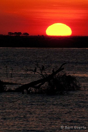 DSC_4137.jpg - Sunset on CHobe river