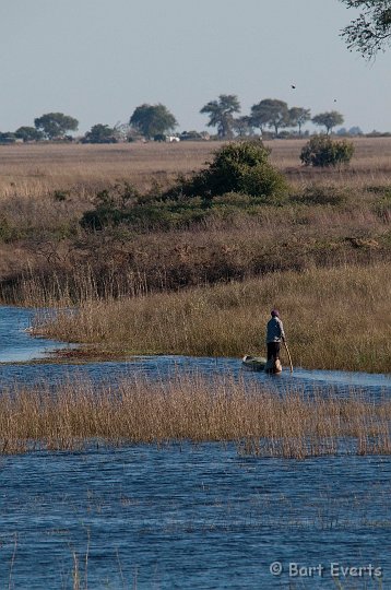 DSC_4167.jpg - Chobe river