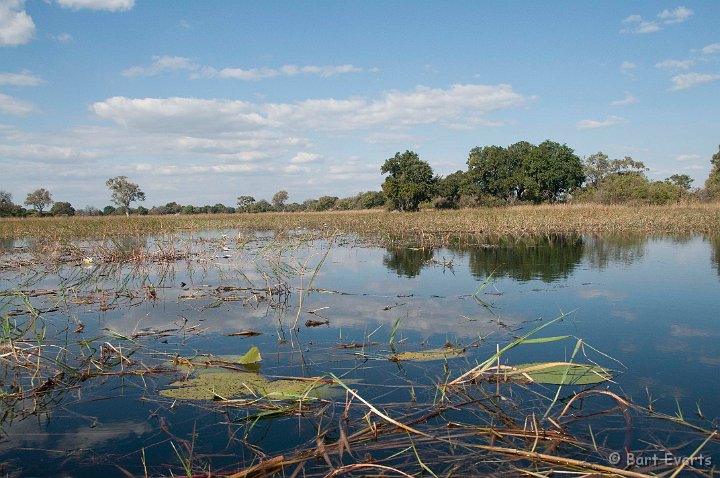 DSC_4337.jpg - vast expanses of swamp