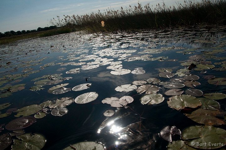 DSC_4397.jpg - reflection in the water