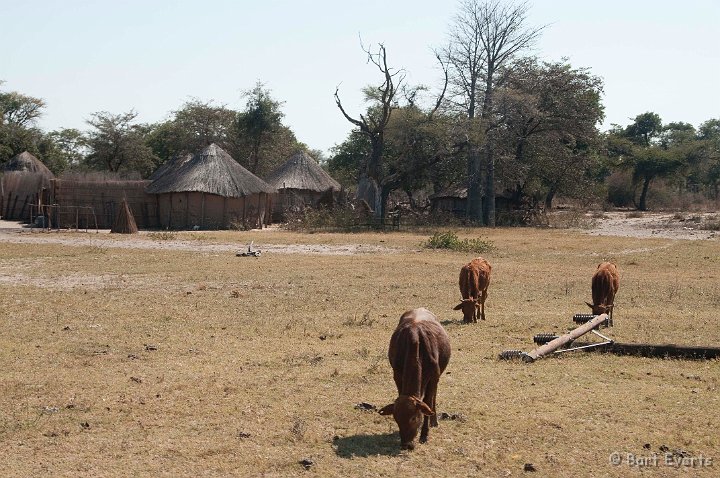 DSC_4408.jpg - one of the villages on the shores of the delta