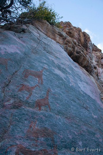 DSC_4439.jpg - Rockpaintings of Tsodilo
