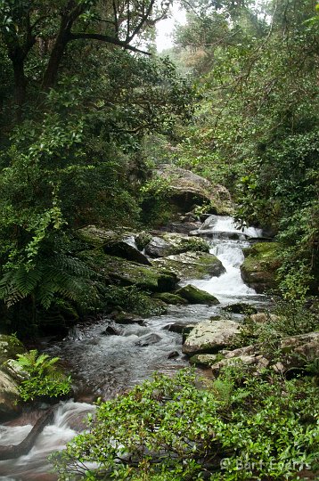 DSC_6659.jpg - river in the park