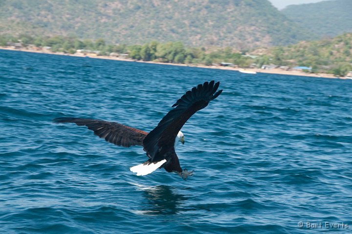 DSC_3033.jpg - Catching fish