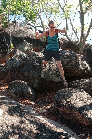 DSC_3055.jpg - Klipspringer-Rianne