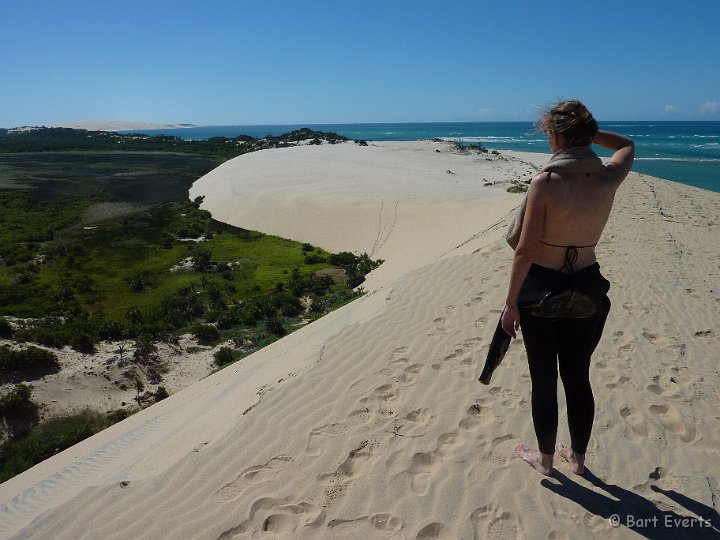 P1010121.JPG - View from a dune of one of the Islands