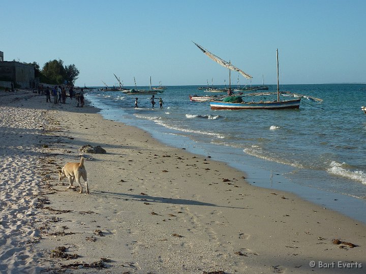 P1010098.JPG - Beach of Vilankulos