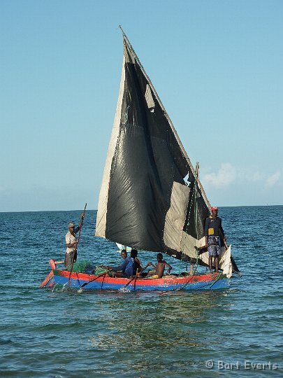 P1010103.JPG - Dhow arriving with fish