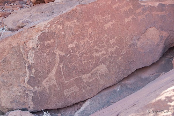 DSC_5229.jpg - Rock engravings at Twyfelfontijn