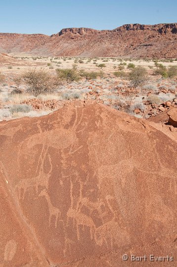 DSC_5235.jpg - Rock engravings at Twyfelfontijn