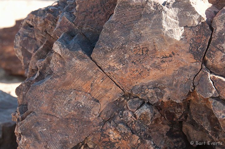 DSC_5258.jpg - Petrified Forest