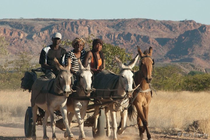 DSC_5263.jpg - Donkey bus