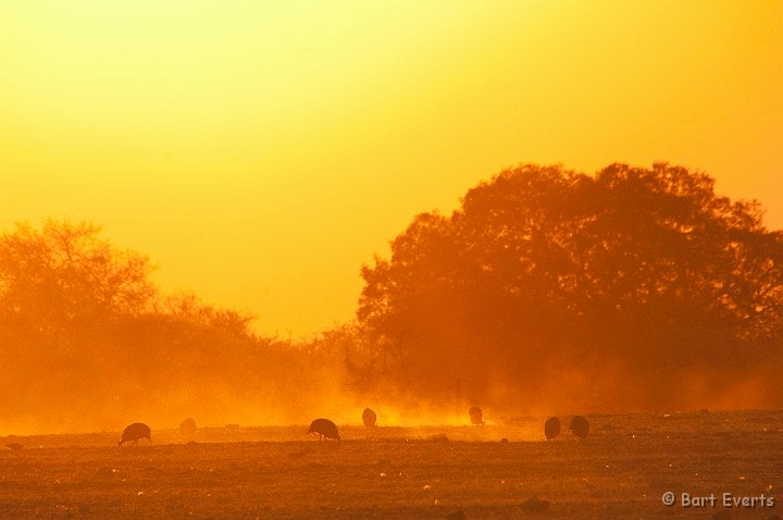 DSC_4648.jpg - Sunset