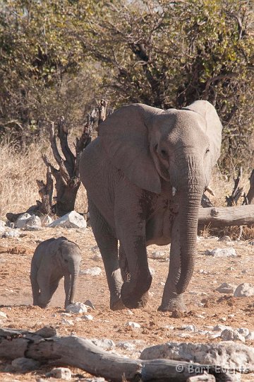 DSC_4752.jpg - mother and child