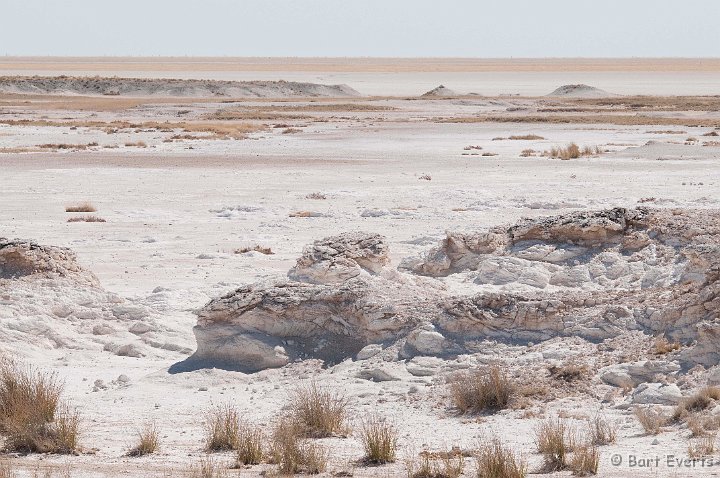 DSC_4844.jpg - Etosha Saltpan