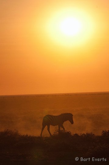 DSC_4863.jpg - Sunrise