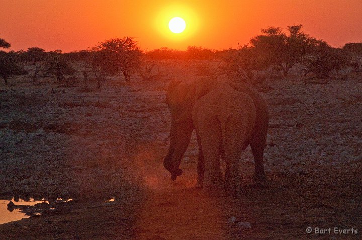 DSC_4939.jpg - Sunset