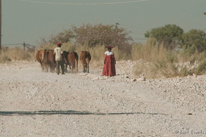 DSC_5136.jpg - Herero woman