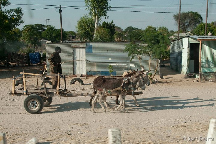 DSC_4574.jpg - ass-carriage
