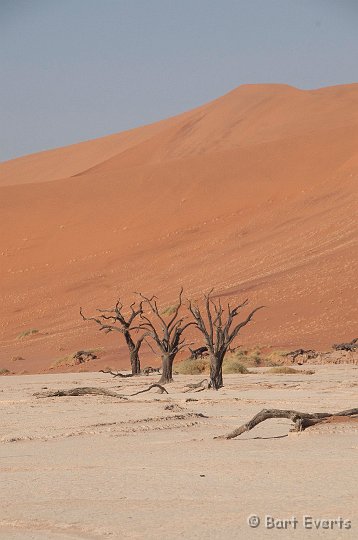 DSC_5526.jpg - Deadvlei