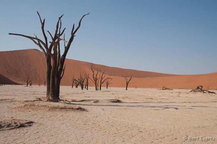 DSC_5528.jpg - Deadvlei