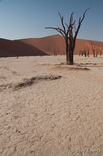 DSC_5529.jpg - Deadvlei