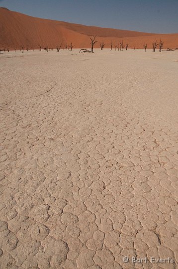 DSC_5536.jpg - Deadvlei