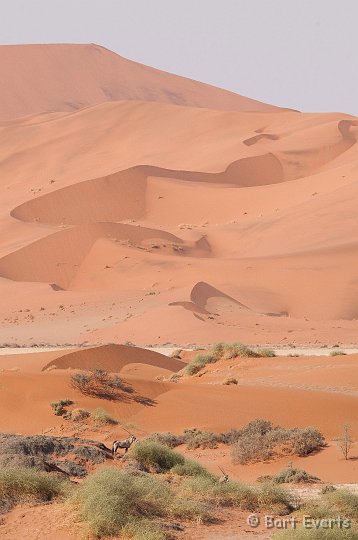 DSC_5542.jpg - Sossusvlei
