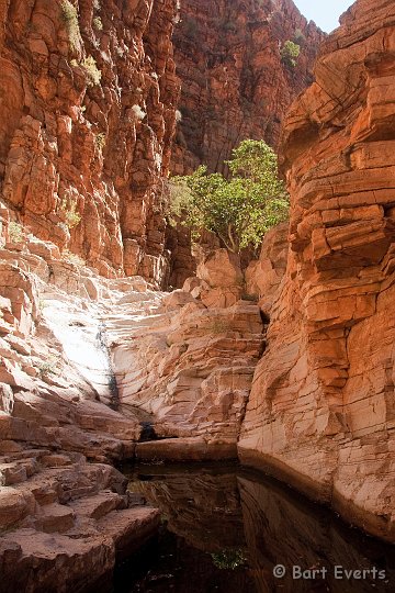 DSC_5432.jpg - Beautiful Gorge