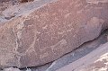 Damaraland