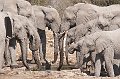 Etosha NP