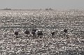 Walvisbaai