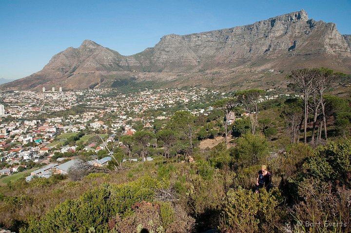 DSC_1212.jpg - Table Mountain