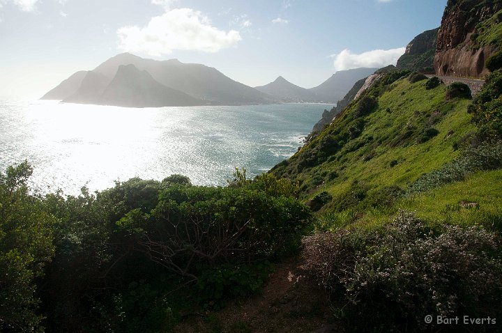 DSC_5931.jpg - Chapman's peak drive