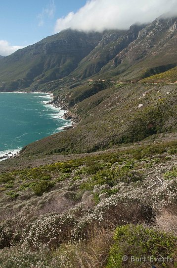 DSC_5935.jpg - Chapman's peak drive