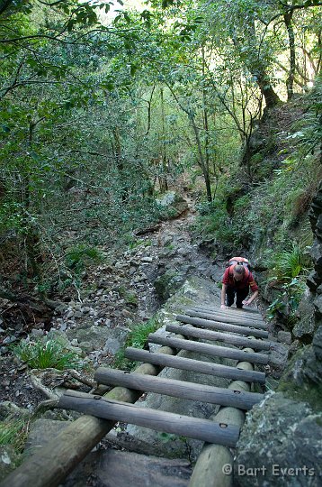 DSC_1079.jpg - Climbing up