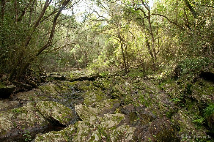 DSC_1561.jpg - Slippery/Rocky Trail