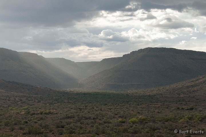 DSC_1685.jpg - Karoo