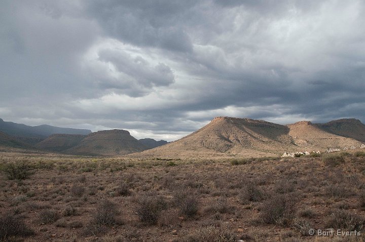 DSC_1687.jpg - Karoo