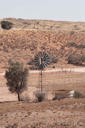 DSC_5714.jpg - Artificial waterhole