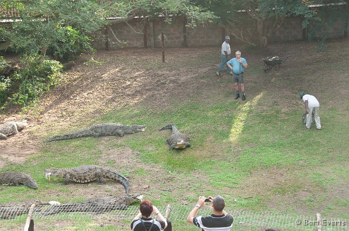 DSC_1959.jpg - Crocodile Farm