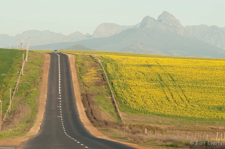 DSC_5891.jpg - Road to Stellenbosch