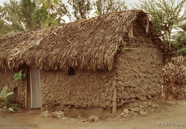 Scan10115.jpg - House made of earth and Banana leaves