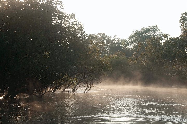 DSC_3602.jpg - A boatride on the Kasanka river