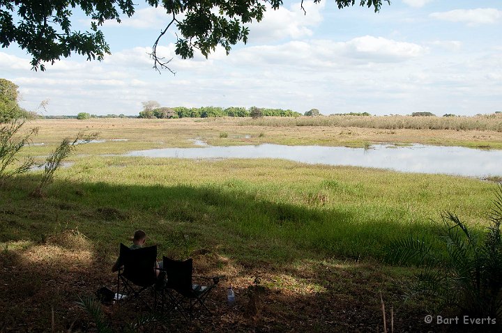 DSC_3676.jpg - Waiting for Sitatunga to show up