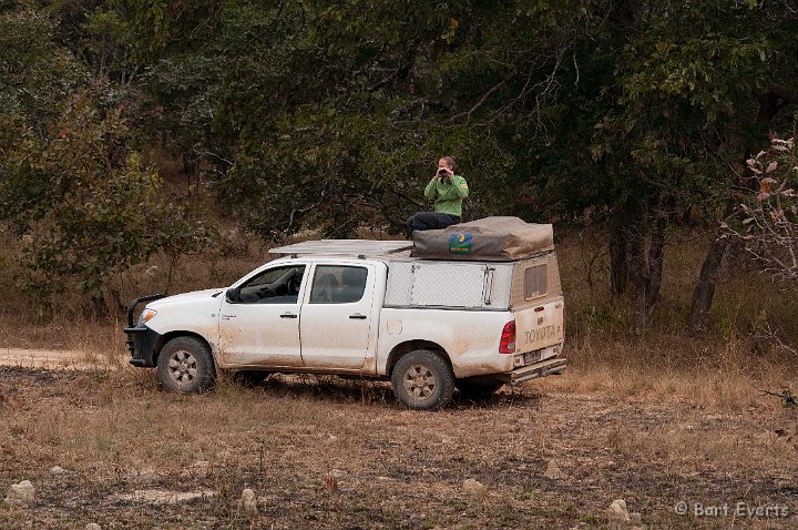 DSC_3796.jpg - Searching for wildlife