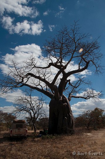 DSC_3849.jpg - Lunch under a baobab tree