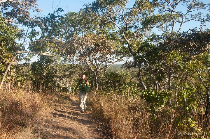 DSC_3523.jpg - Hiking in the forests