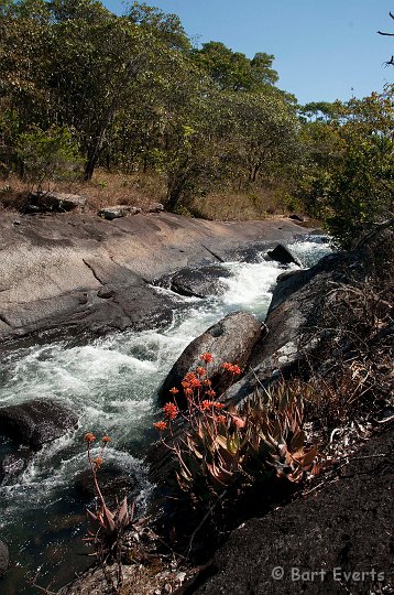 DSC_3570.jpg - rapids