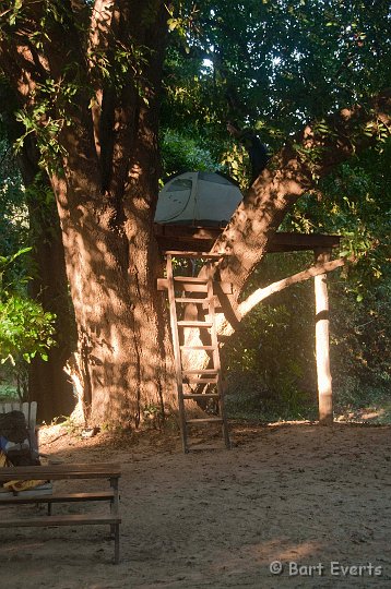 DSC_3505.jpg - Safety platform in the tree